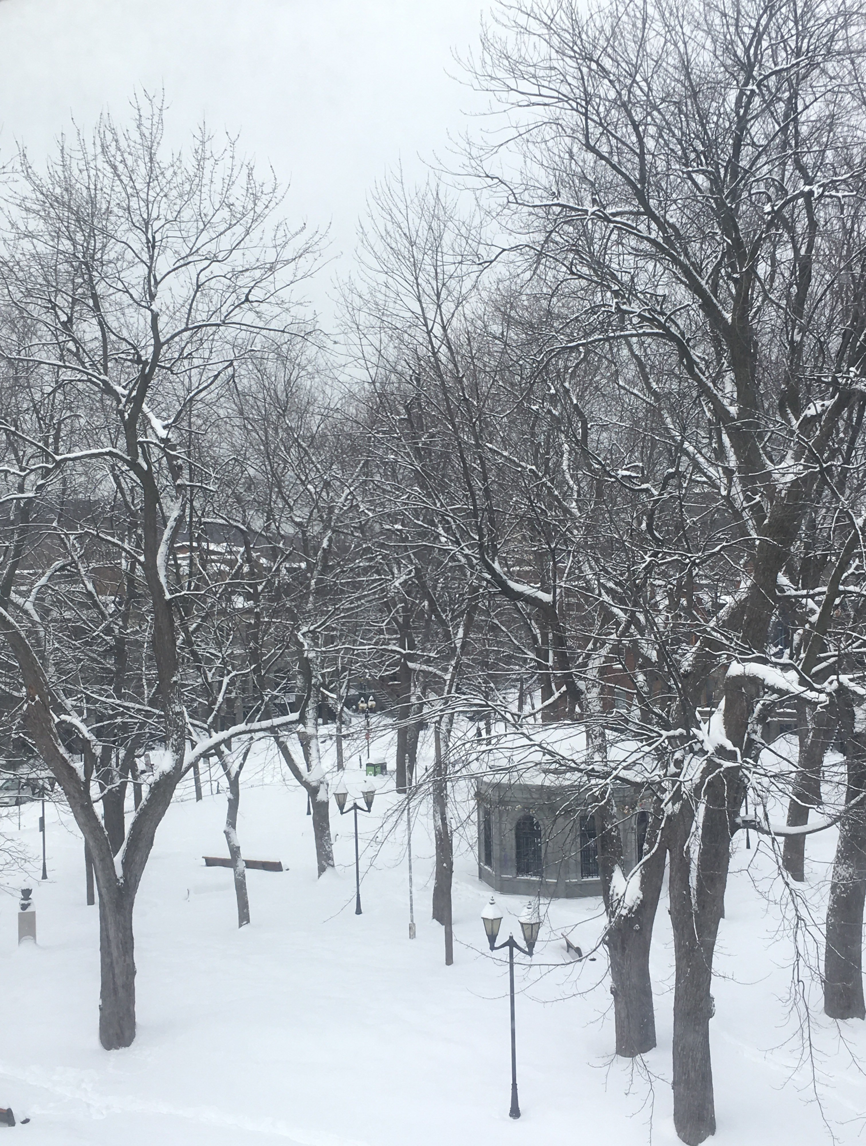 Colour photograph of Montreal's Square Saint-Louis, taken from the window of a fourth-floor apartment just after a snow storm.