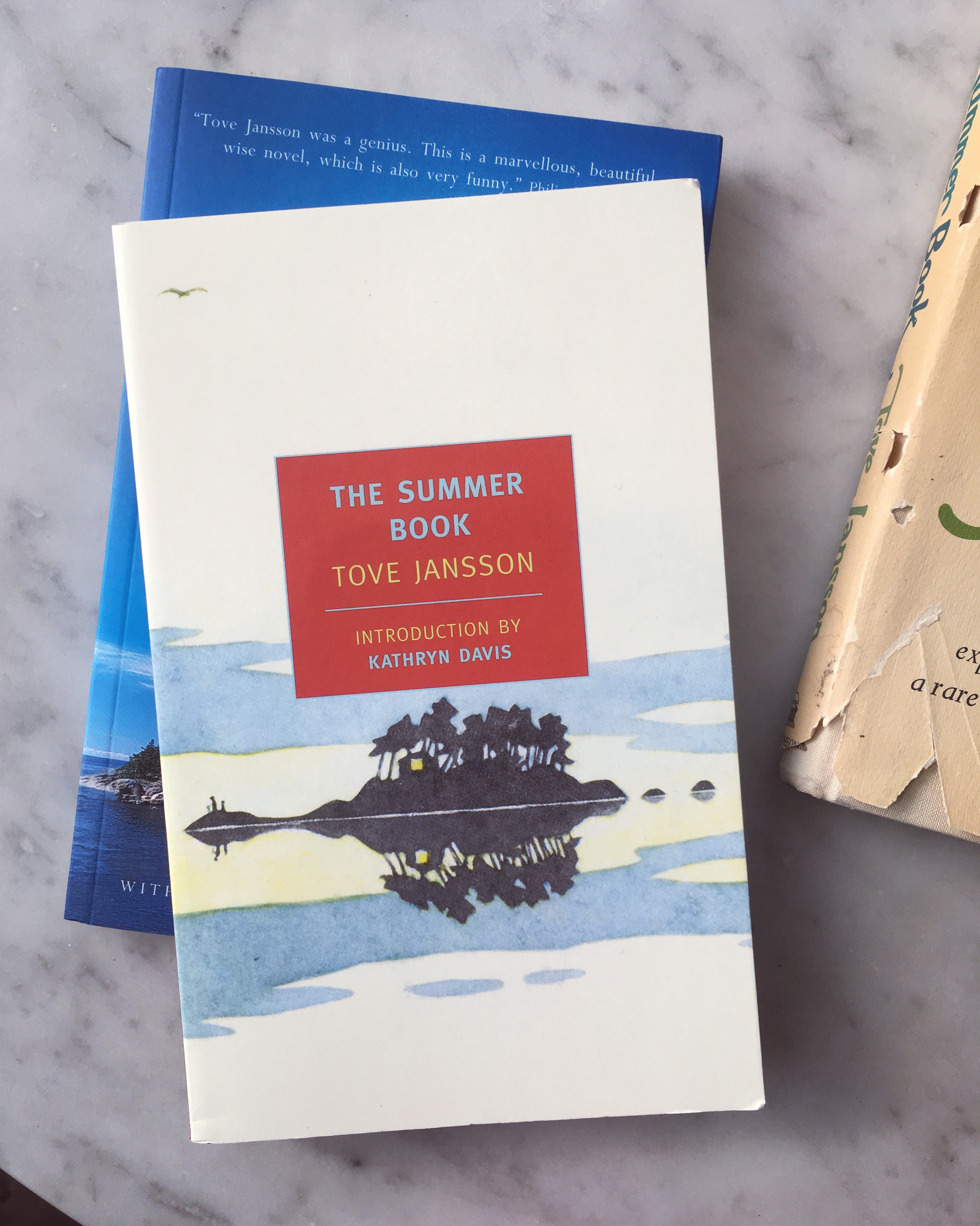 This colour photograph shows the cover of the paperback edition of The Summer Book, published by New York Review Books in 2008. The cover features an illustration of a tiny island.